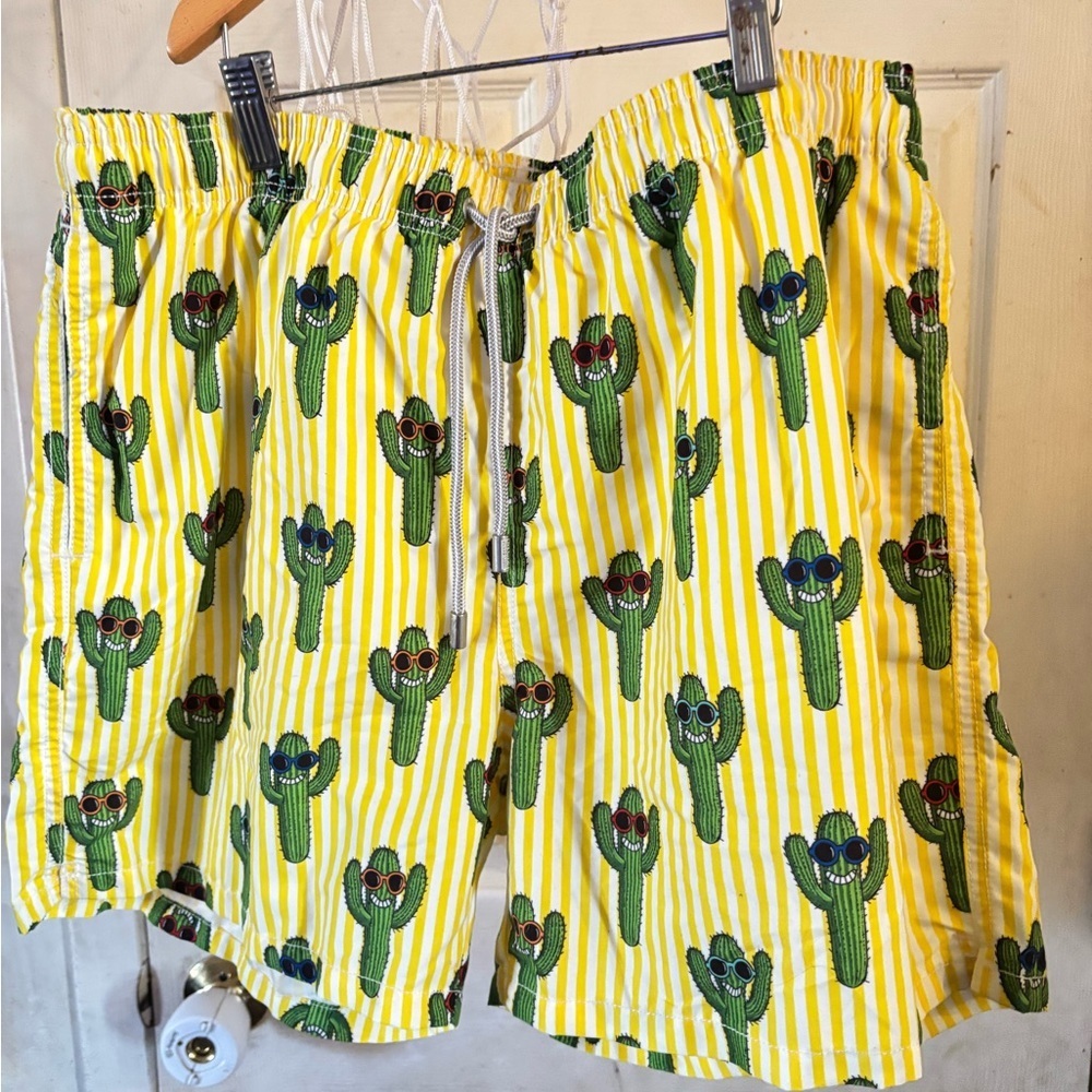 MC2 saint birth Cactus print swim shorts